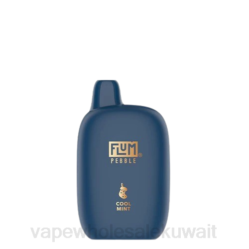 Vape Store - FLUM PEBBLES 6000 نفث (طبعة عيد الميلاد) نعناع بارد R6NV5