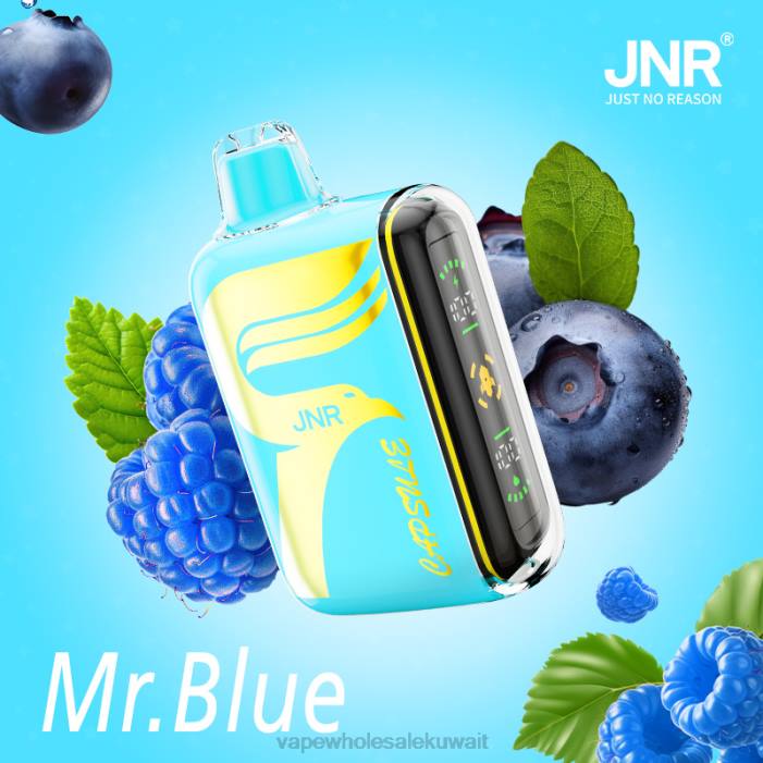 68FB606 - Vape Wholesaler السيد الأزرق JNR CAPSULE