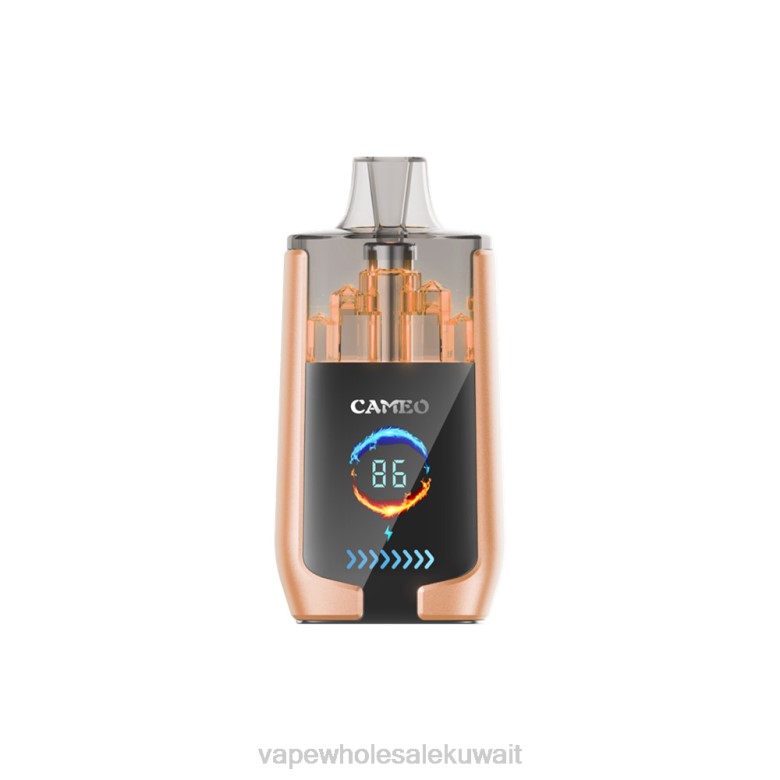 Vape Kuwait - LAVIE CAMEO 30000 نفث RX0P22 الكرز