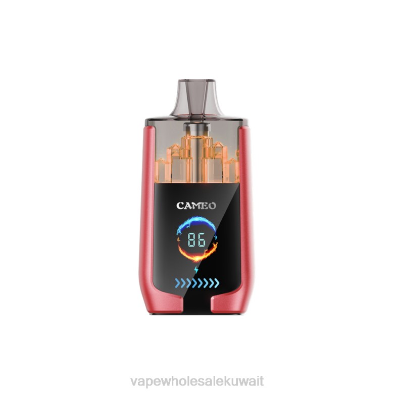 Vape الكويت - LAVIE CAMEO 30000 نفث RX0P14 ثلج البطيخ