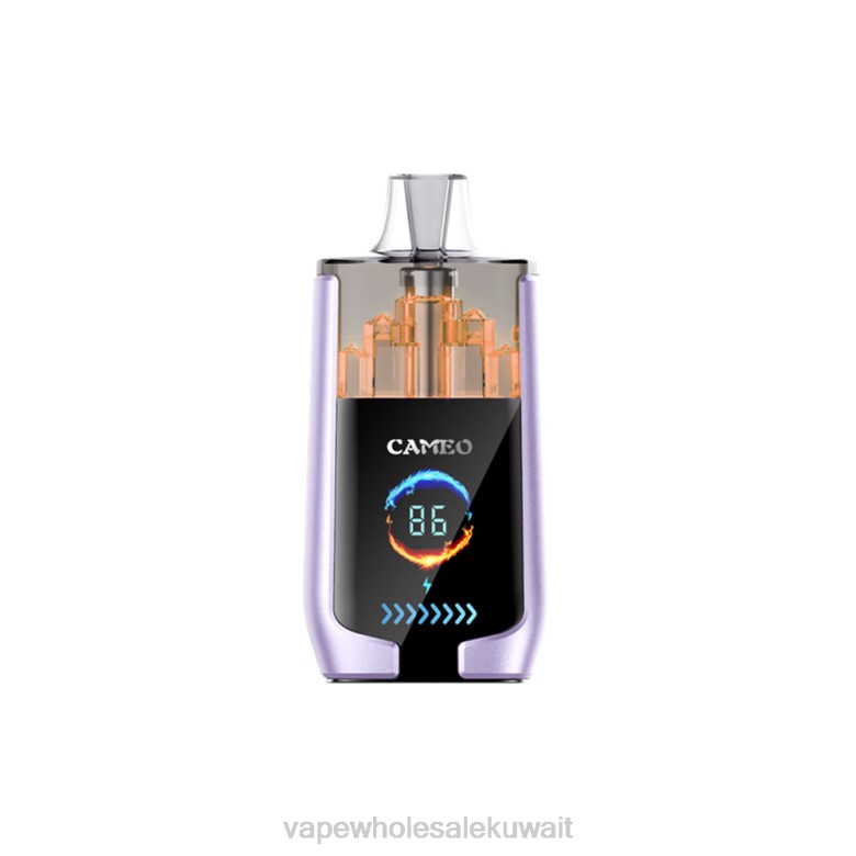 Vape الفاخر - LAVIE CAMEO 30000 نفث RX0P16 جليد العنب