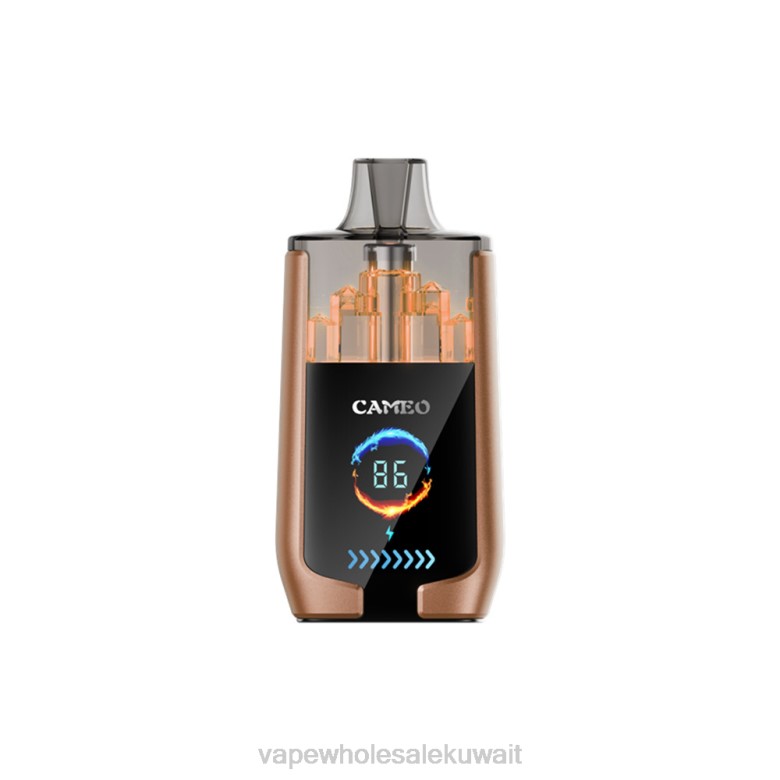 Vape بالجملة - LAVIE CAMEO 30000 نفث RX0P18 ثلج القهوة