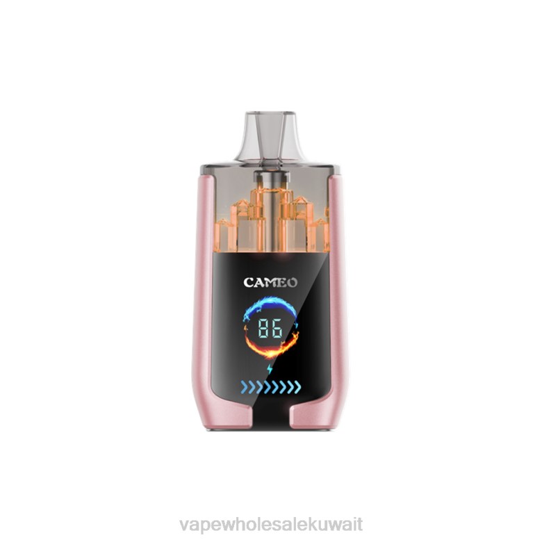 شراء Vape بالجملة - LAVIE CAMEO 30000 نفث RX0P19 الفاكهة الاستوائية