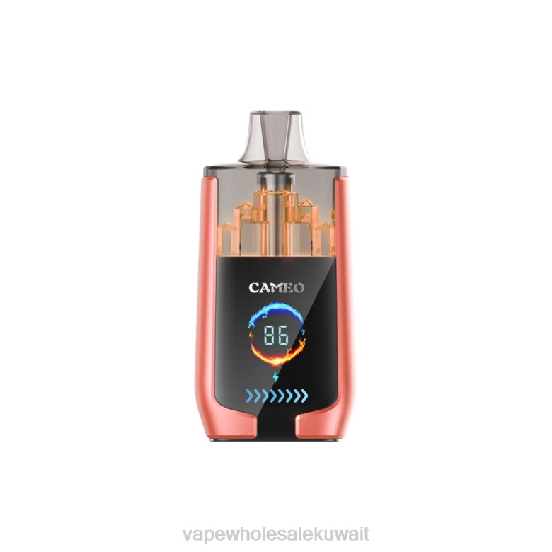 Vape الكويت - LAVIE CAMEO 30000 نفث RX0P24 الفراولة والبطيخ