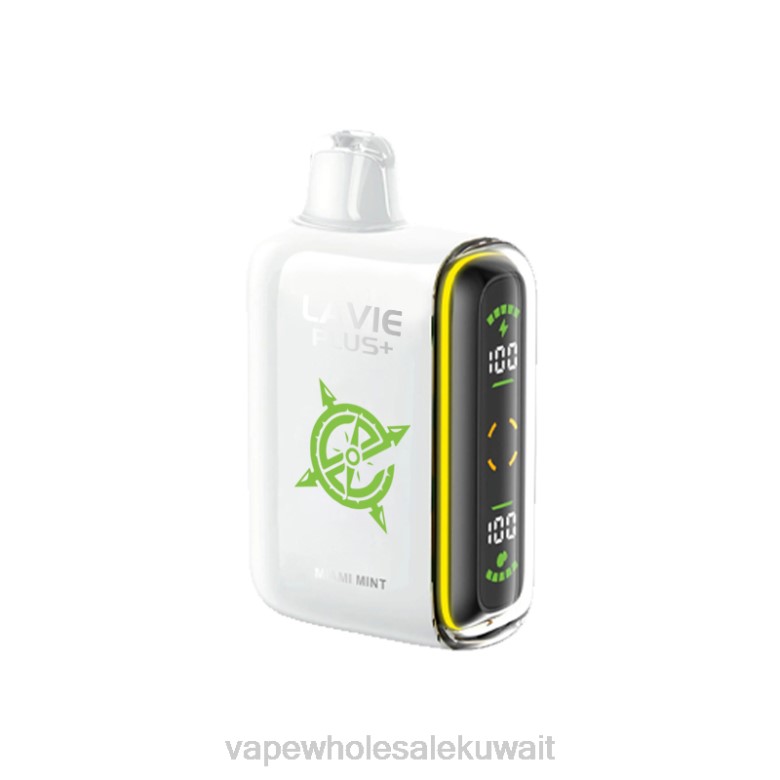 Vape بالجملة - LAVIE PLUS 15000 نفث RX0P98 ميامي النعناع