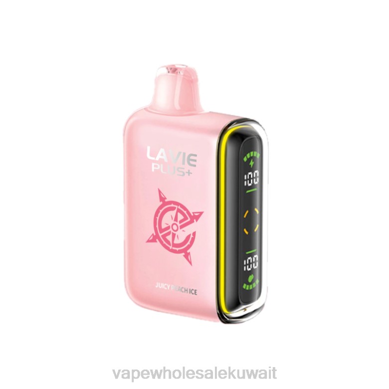 شراء Vape بالجملة - LAVIE PLUS 15000 نفث RX0P99 جليد الخوخ العصير