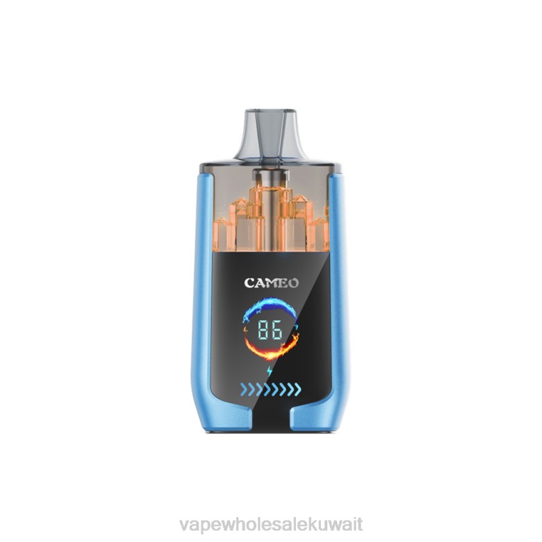 Vape Shop - LAVIE CAMEO 30000 نفث RX0P13 جليد الفراولة