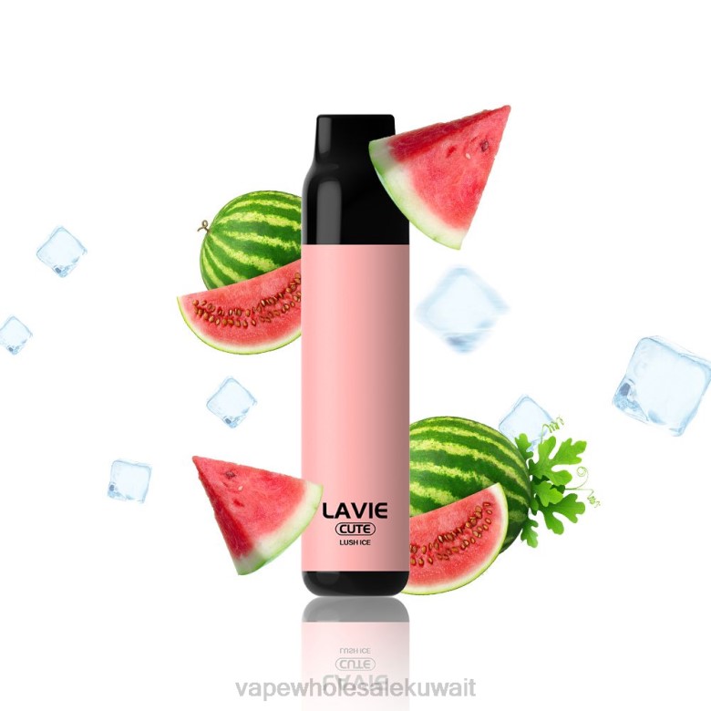 Vape Store - LAVIE BAR 3000 نفث RX0P285 الجليد الخصب