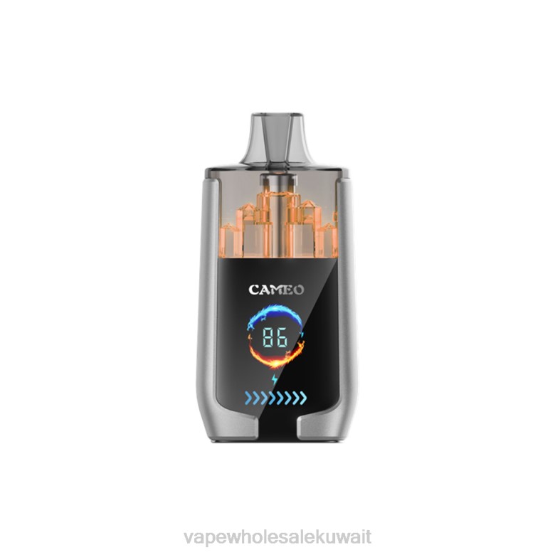 Vape Store - LAVIE CAMEO 30000 نفث RX0P15 جليد التوت