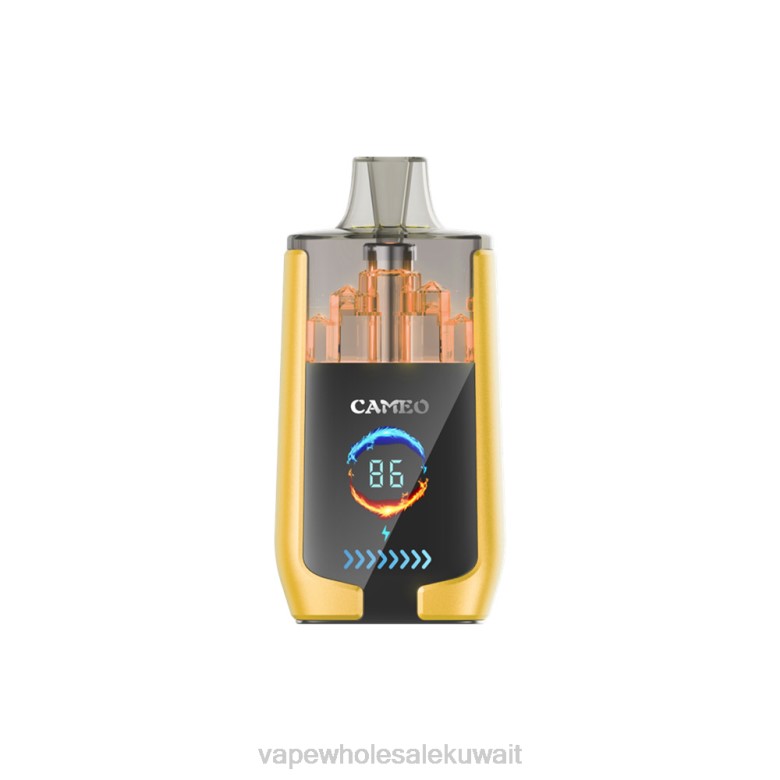 Vape Wholesale Kuwait - LAVIE CAMEO 30000 نفث RX0P21 جليد المانجو