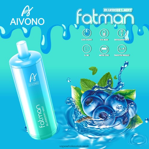 Vape Kuwait - Aivono FATMAN 6800 النعناع التوت TXZ26222