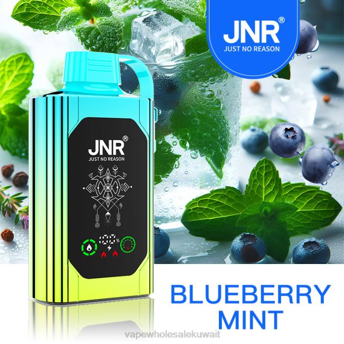 68FB618 - Vape shop النعناع التوت JNR SHISHA BOX