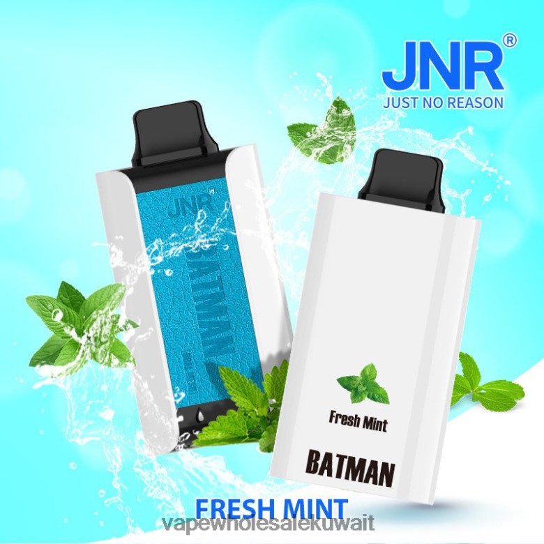 Vape الكويت - JNR BATMAN 11000 نعناع طازج RB0PJ4